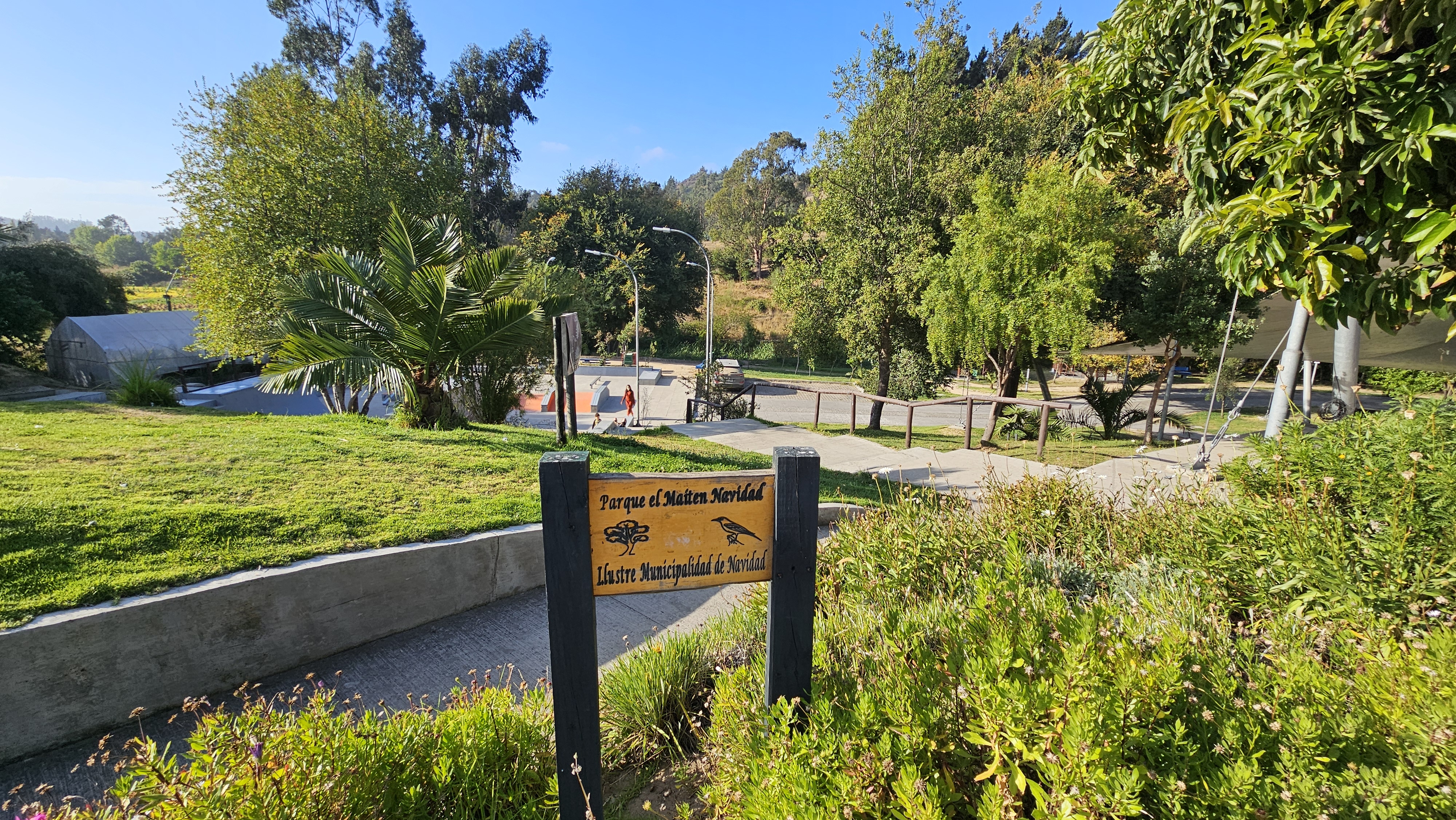 Fotografía de la vegetación del parque